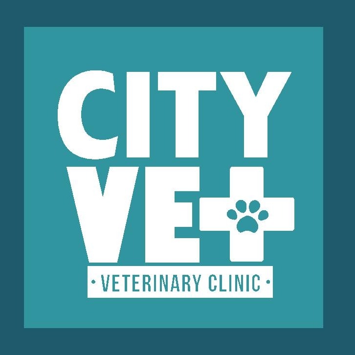 City VET clinic Larnaca logo